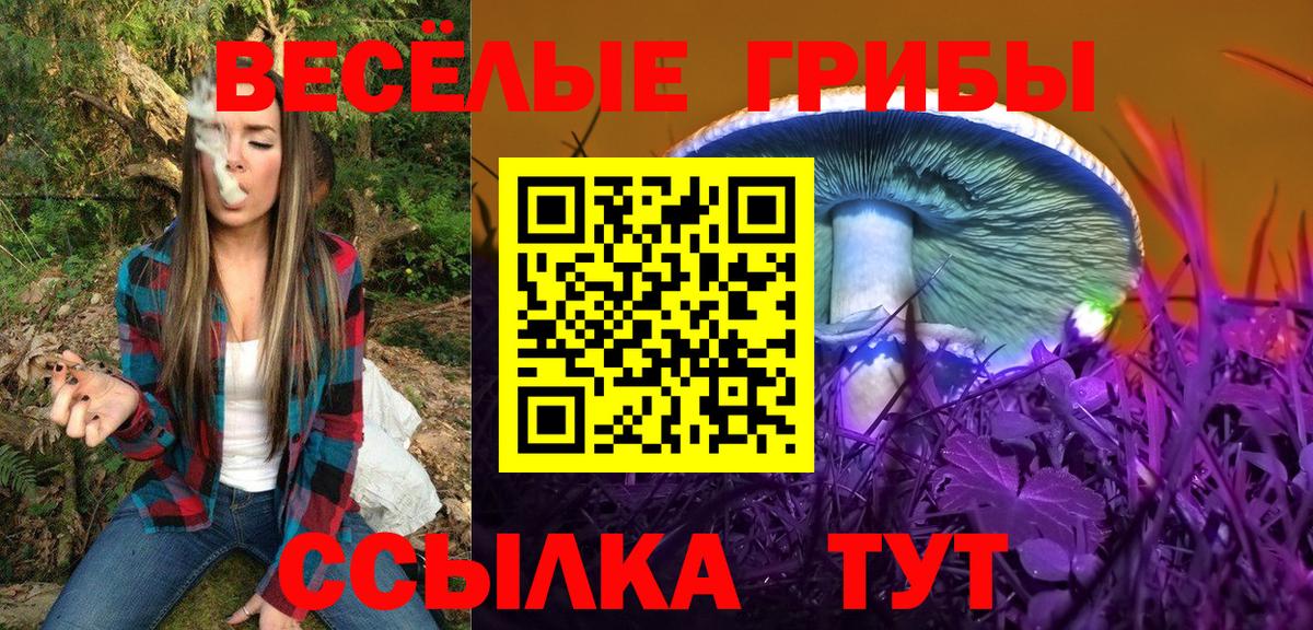 Галлюциногенные грибы GOLDEN TEACHER Губаха