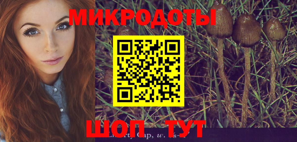Галлюциногенные грибы мухоморы  Вход с VPN  Губаха 